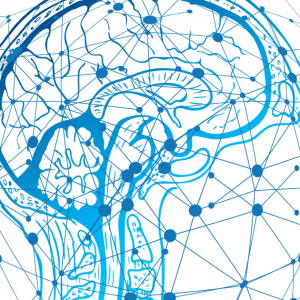 Neocortex - brain forms sensory memories. Wow!