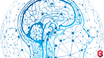 Neocortex - brain forms sensory memories. Wow!