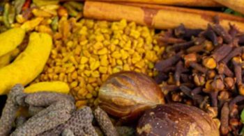 Ayurvedic guide for pre-winter: These spices should be relied upon to deal with pre-winter problems Ayurvedic guide for pre-winter: These spices should be relied upon to deal with pre-winter problems