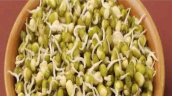 Sprouted Mung: Make sprouts or sprouted mugs at home, not store-bought Sprouted Mung: Make sprouts or sprouted mugs at home, not store-bought