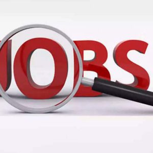 Sarkari Naukri 2021: Sarkari Naukri: Know which 10 government jobs get the highest salary - Top 10 government jobs sarkari naukri in hindi Sarkari Naukri 2021: Sarkari Naukri: Know which 10 government jobs get the highest salary - Top 10 government jobs sarkari naukri in hindi