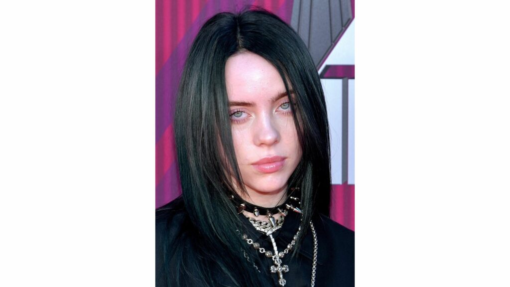 Billie Eilish Phone Number | House Address | Contact Number | Whatsapp Number | Email ID